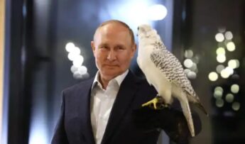 США-стало-не-до-шуток,-рассказ-Путина-про-«птичку»-вызвал-резонанс-на-Западе