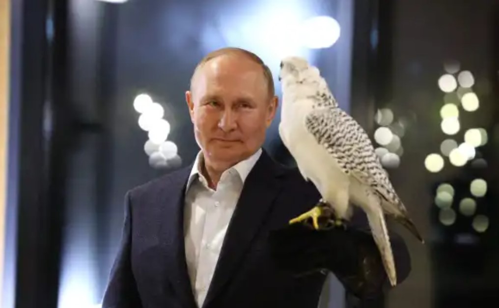 США-стало-не-до-шуток,-рассказ-Путина-про-«птичку»-вызвал-резонанс-на-Западе